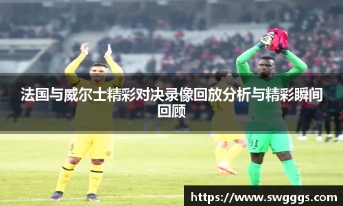 法国与威尔士精彩对决录像回放分析与精彩瞬间回顾